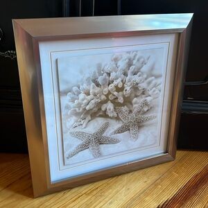 Distressed Shell Coral Matted Framed Art, Made in USA